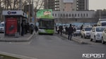 В Узбекистане женщинам разрешили водить большие автобусы и массивные грузовики
