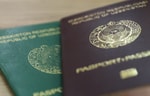 Узбекистан поднялся в мировом рейтинге силы паспортов