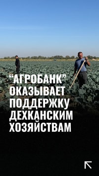 В Кашкадарьинской области продолжается пилотный проект по выращиванию сельскохозяйственной продукции на основе принципа «Один контур — один продукт»