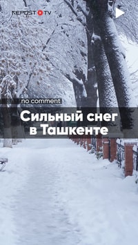 Последствия сильного снега в Ташкенте 