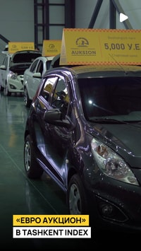 В Indexpo состоялся «Евро-аукцион»