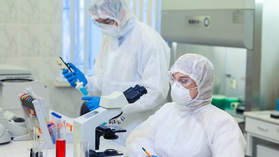 Фото: istockphoto.com