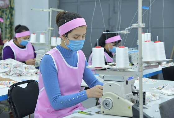 Фото: Пресс-служба Сената