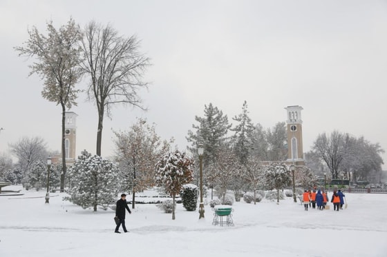 Фото:&nbsp;centre1.com