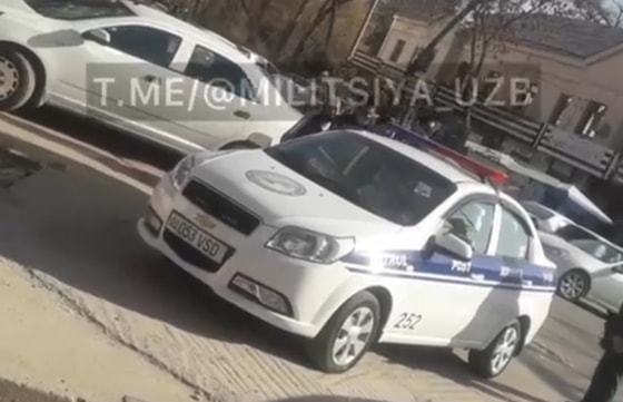 Фото: Кадр из видео