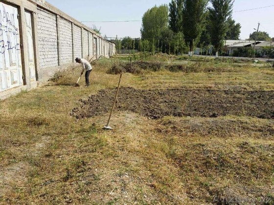 Фото: Tashkent.avizinfo