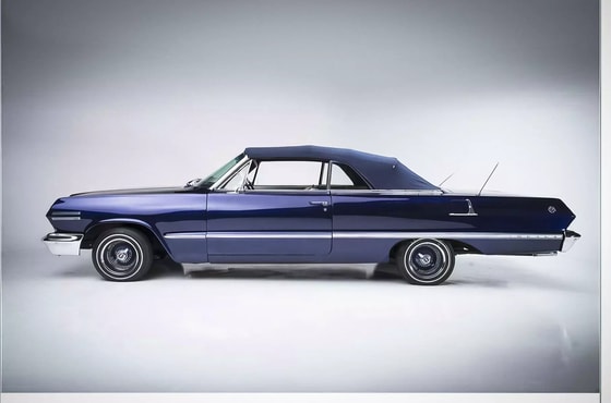 Фото: goldinauctions.com