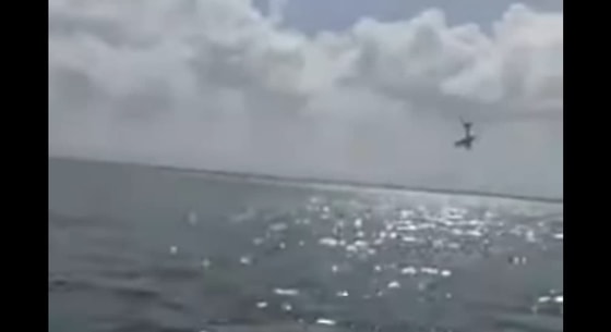 Фото: Кадр из видео