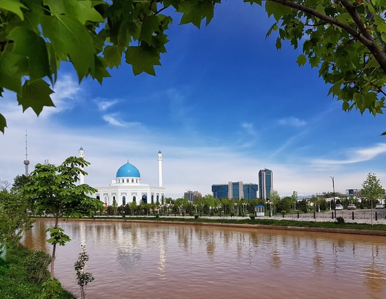 Фото: Яндекс.Дзен