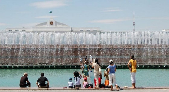 Фото:&nbsp;orchid-eya.livejournal.com