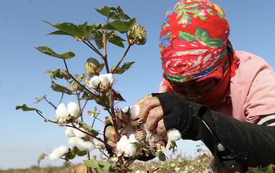 Фото: sputniknews.ru