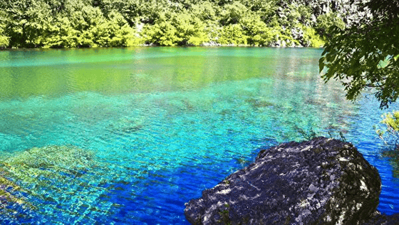 Фото: uz.sputniknews.ru