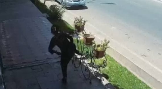 Фото: Скриншот из видео