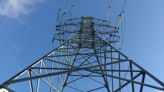 Фото:&nbsp;rossaprimavera.ru