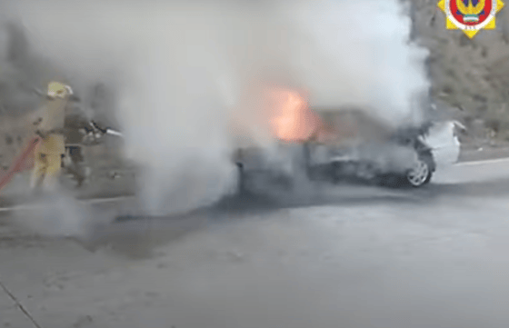 Кадр из видео