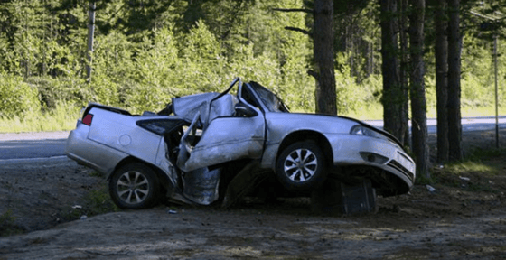 Фото:&nbsp;gubdaily.ru