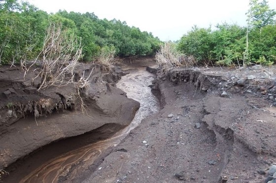 Фото: Аргументы и факты