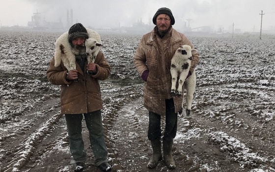 Иштван Керекеш, "Трансильванские пастухи", Гран-при