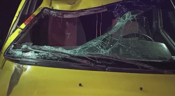 Фото: ГУБДД