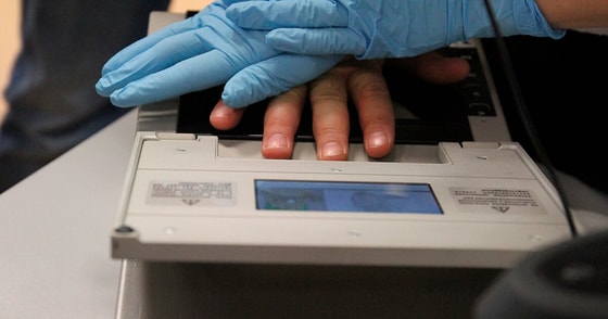 Фото:&nbsp;m24.ru