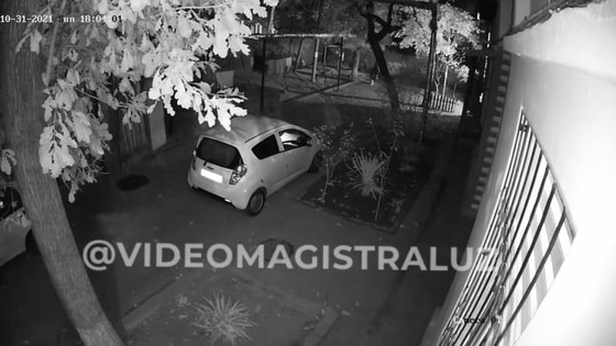 Кадр из видео&nbsp;