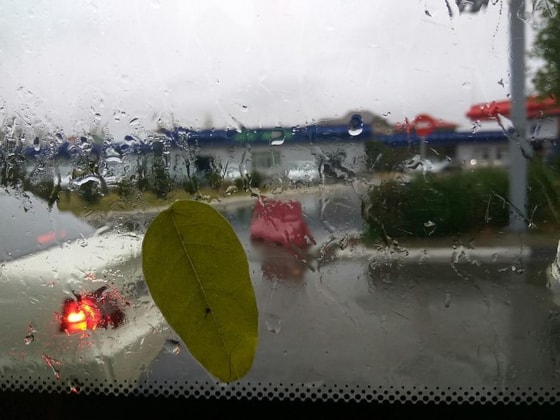 Фото: Пикабу