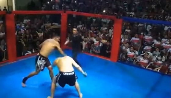 Фото: vesma.today