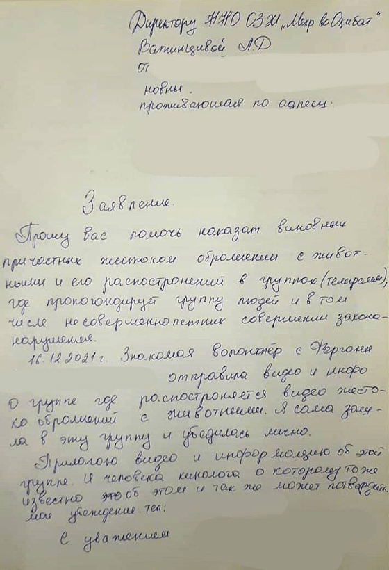 Фото: ОЗЖ «Мехр ва Окибат»