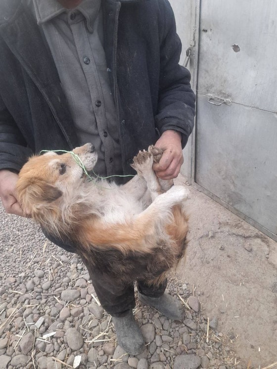 Фото: Mehr va Oqibat