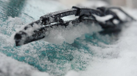 Фото: fox2now.com