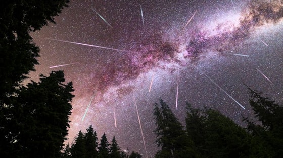 Фото:&nbsp;5-tv.ru