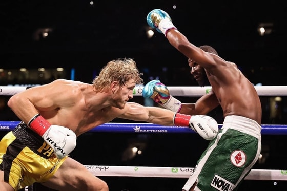 Фото: Чемпионат