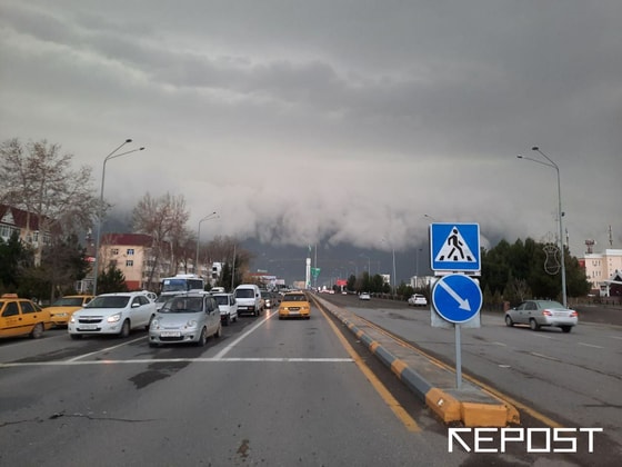 Repost.uz / Фото куплено у мобильного репортёра