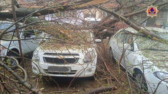 Фото: Пресс-служба МЧС