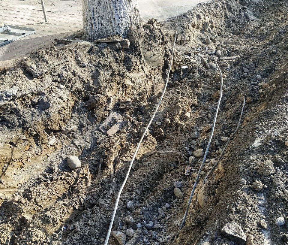 Фото:&nbsp;Ekolog.uz