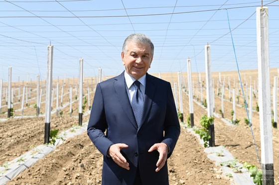 Фото: Пресс-служба президента