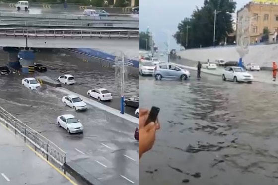 Кадры из видео