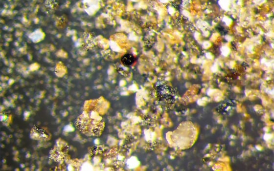 Фото:&nbsp;cnsa.gov.cn