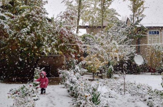 Фото: t.me/uzb_meteo