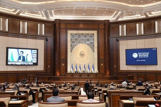Фото: Пресс-служба Сената Олий Мажлиса