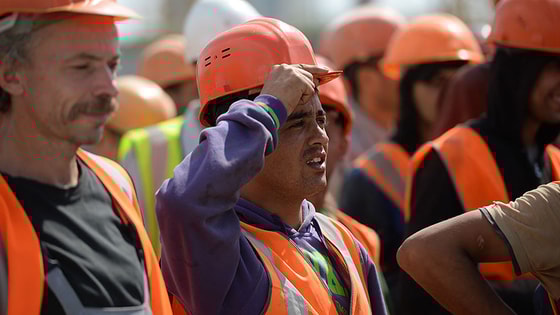 Фото: Открытые источники