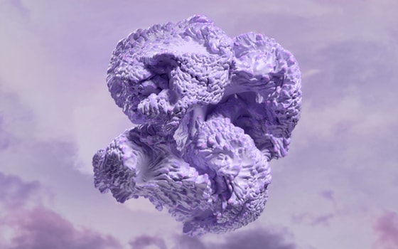 Фото:&nbsp;WGSN &amp; COLORO