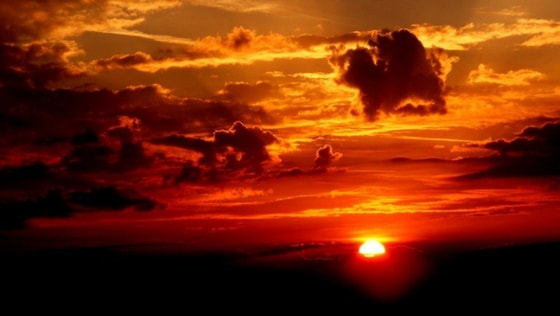 Фото: Открытые источники