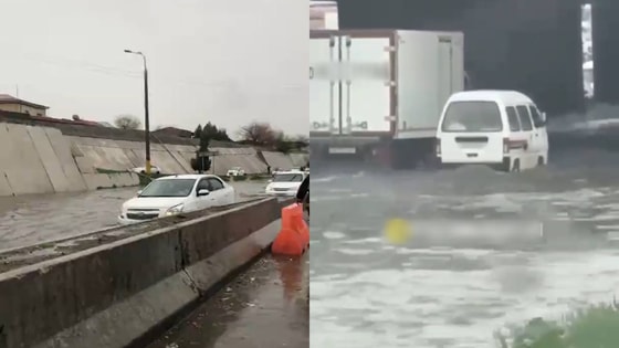 Кадры из видео