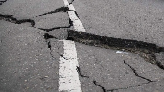 Фото: Известия