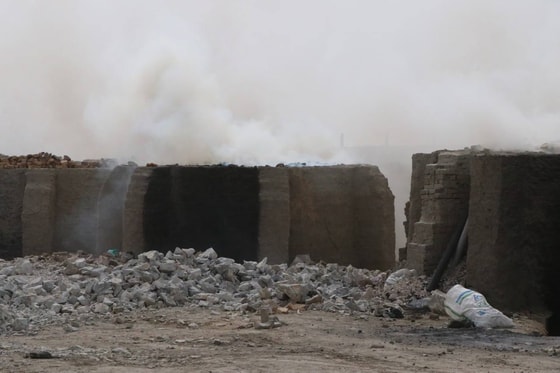 Фото: Минприроды