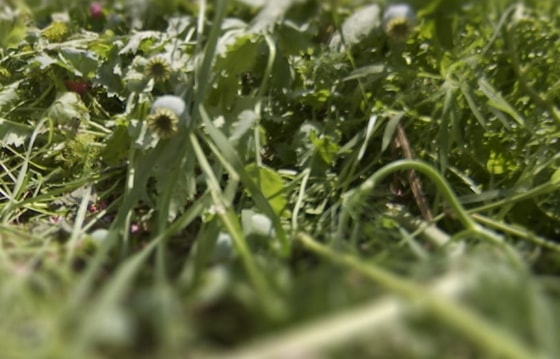 Фото: пресс-служба УВД Ферганской области