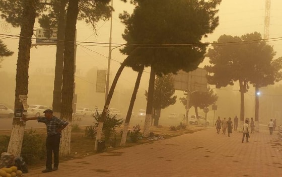 Фото: t.me/uzb_meteo