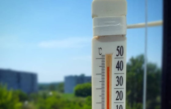 Фото: Открытые источники