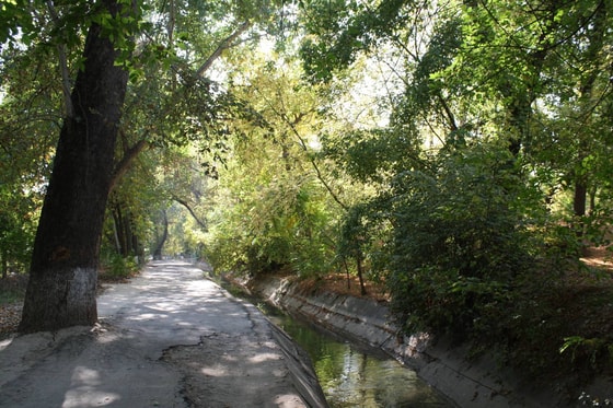 Канал Аккурган, Ташкент, 2010 г., фото: открытый источник